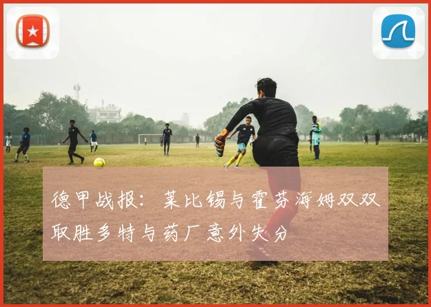 德甲战报：莱比锡与霍芬海姆双双取胜多特与药厂意外失分