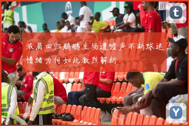 浓眉回归鹈鹕主场遭嘘声不断球迷情绪为何如此激烈解析